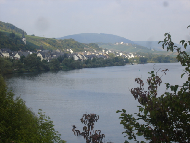 029 - PAYSAGE DES BORDS DE LA MOSELLE 10.JPG